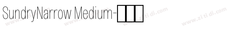 SundryNarrow Medium字体转换